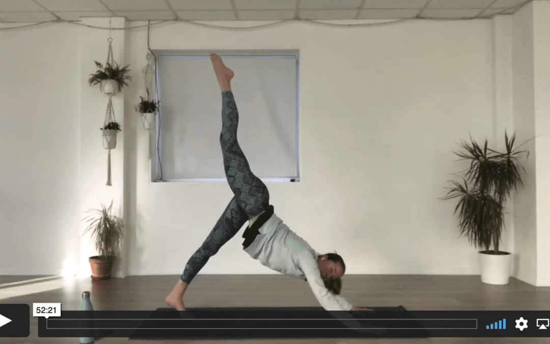 YOGA: Strong Flow: Appreciative Flow (50mins)