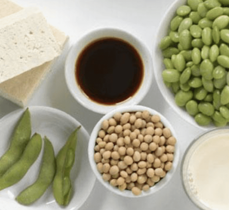 NUTRITION: Soy Based Products