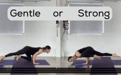YOGA: Gentle OR Strong Flow: Tricep Fun (45mins)