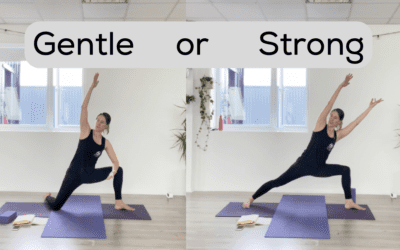 YOGA: Gentle or Strong: Sidewinder (45mins)
